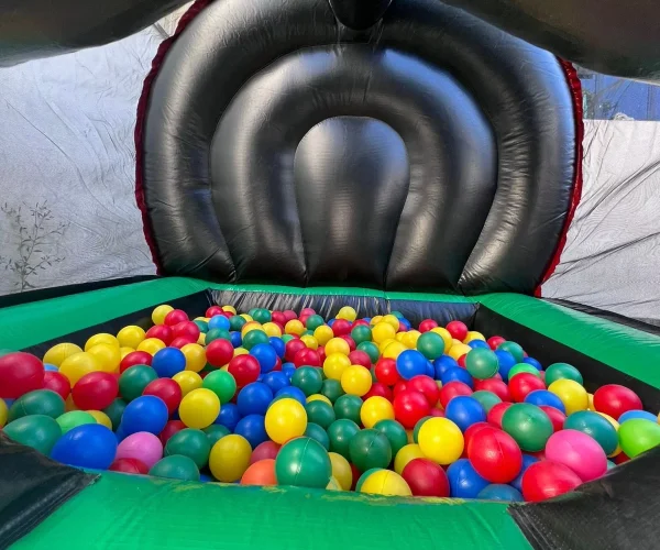 Piscina de Bolinha Panda 3